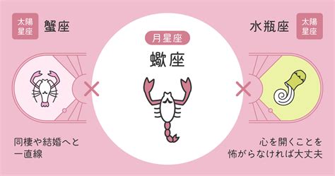 12星座相性【蠍座×水瓶座】基本の性格や恋愛・結婚。